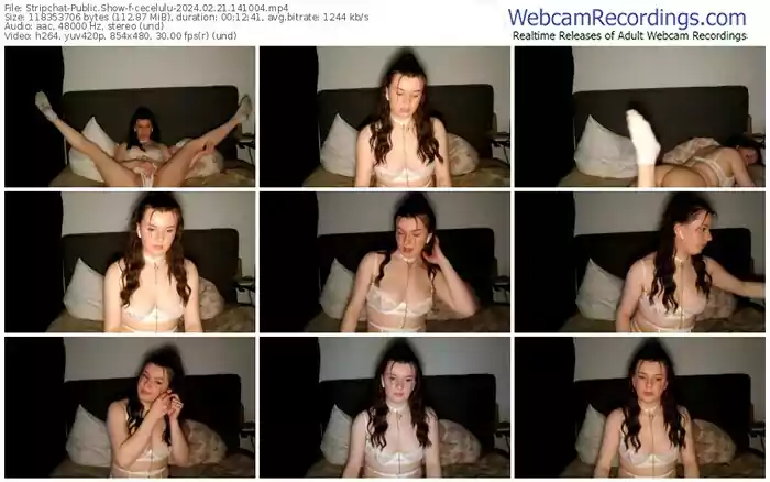 stripchat-cecelulu-02-21-2024-14-10-04