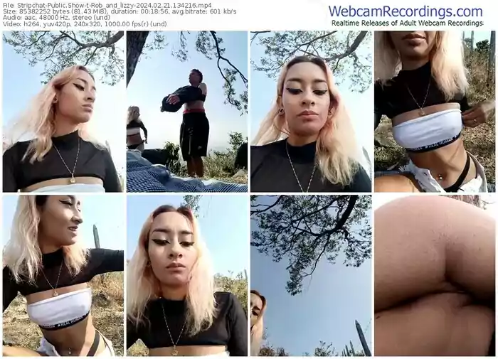 stripchat-rob_and_lizzy-02-21-2024-13-42-16