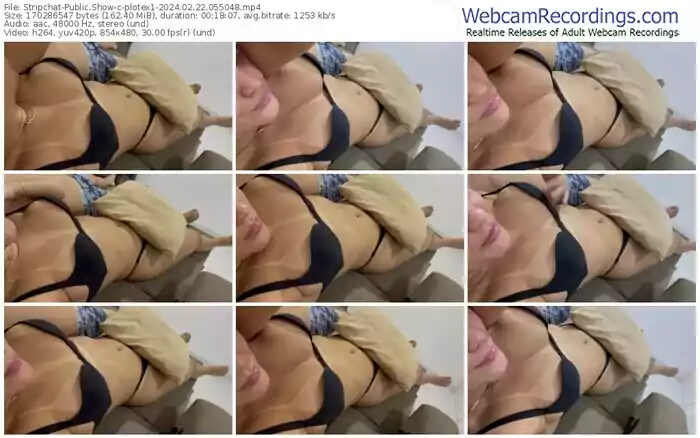 stripchat-plotex1-02-22-2024-05-50-48