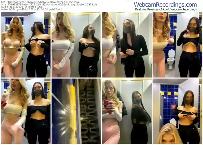 stripchat-shybabyss-02-22-2024-19-19-50