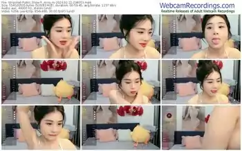 stripchat-_miso_ni-02-22-2024-03-40-53