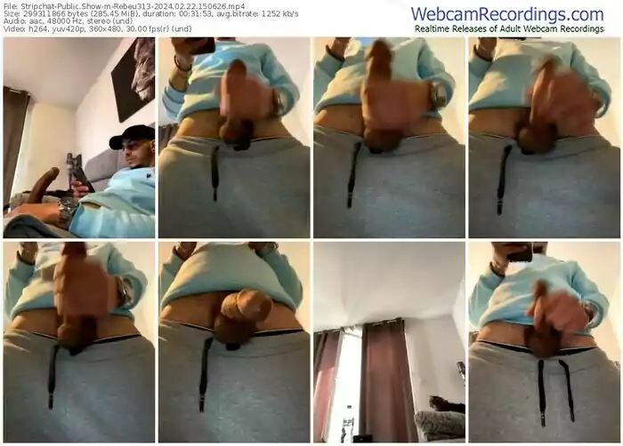 stripchat-rebeu313-02-22-2024-15-06-26