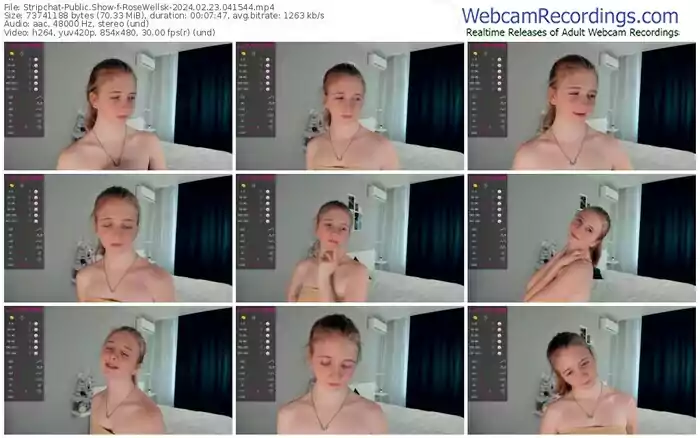 stripchat-rosewellsk-02-23-2024-04-15-44