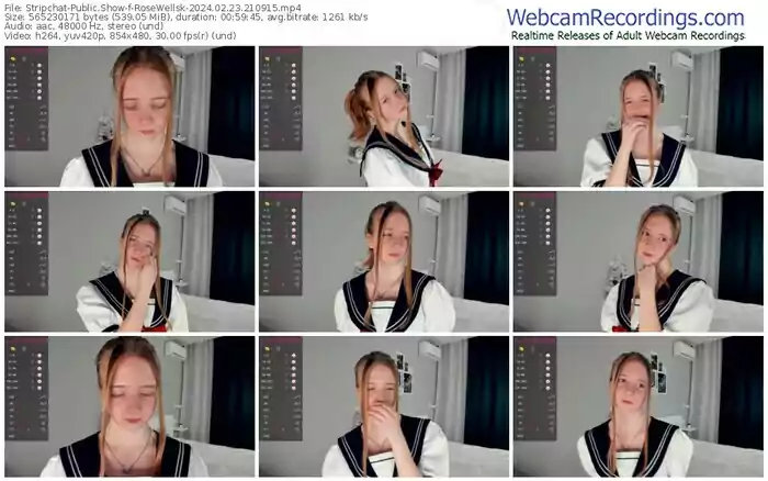 stripchat-rosewellsk-02-23-2024-21-09-15