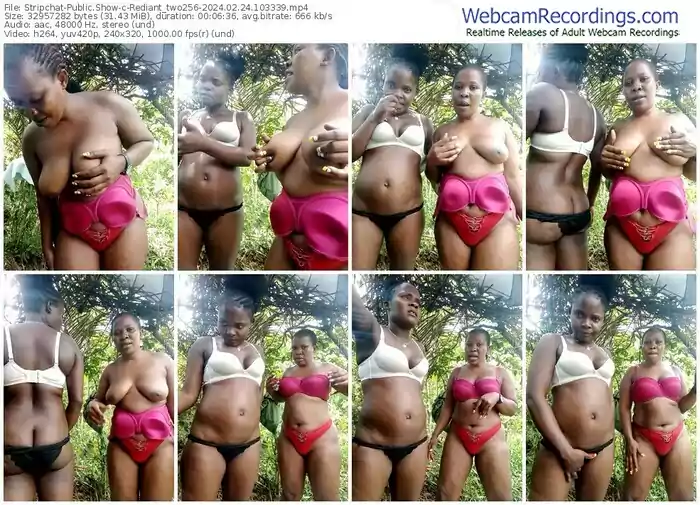 stripchat-rediant_two256-02-24-2024-10-33-39