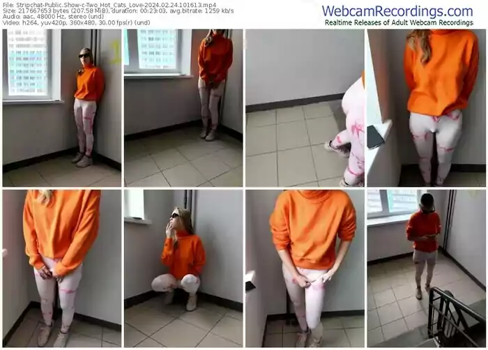 stripchat-two_hot_cats_love-02-24-2024-10-16-13