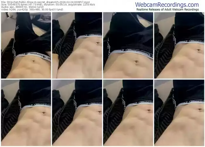 stripchat-secret_dream415-02-24-2024-00-09-57