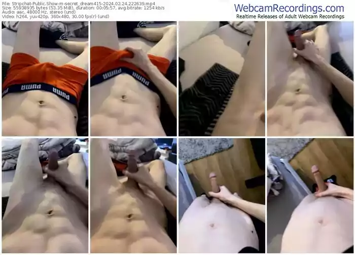 stripchat-secret_dream415-02-24-2024-22-26-39
