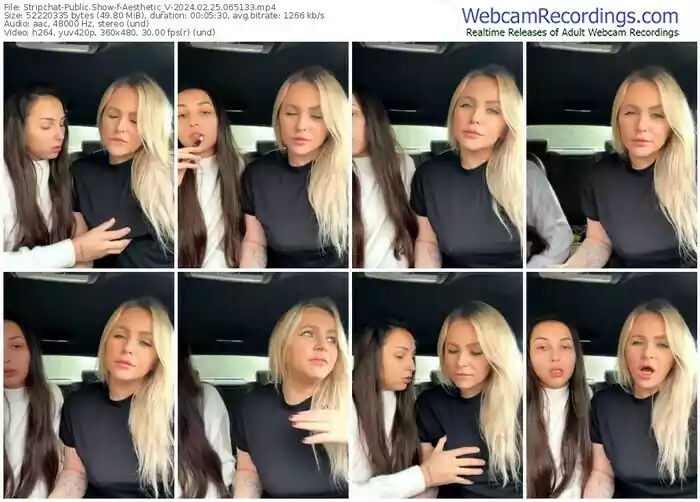 stripchat-aesthetic_v-02-25-2024-06-51-33