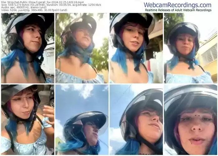 stripchat-gerall_fox-02-25-2024-16-01-18