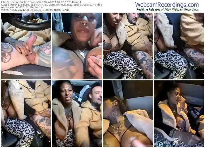 stripchat-darkdea-02-26-2024-20-28-46