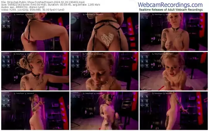 stripchat-vortexproject-02-26-2024-19-04-03