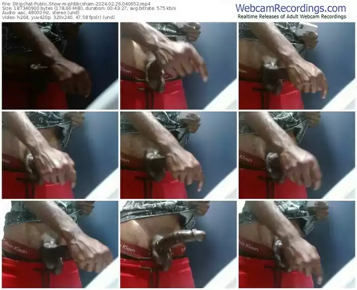stripchat-phbbcsham-02-26-2024-04-06-52