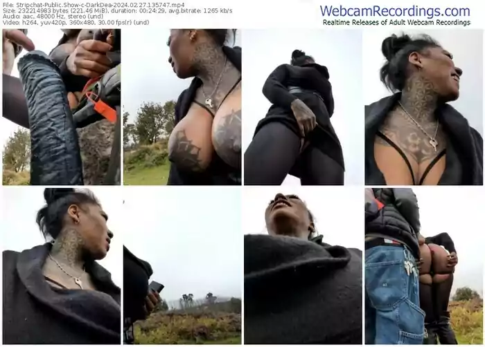 stripchat-darkdea-02-27-2024-13-57-47