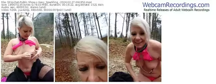 stripchat-sexy_sparkling_-02-27-2024-09-18-52