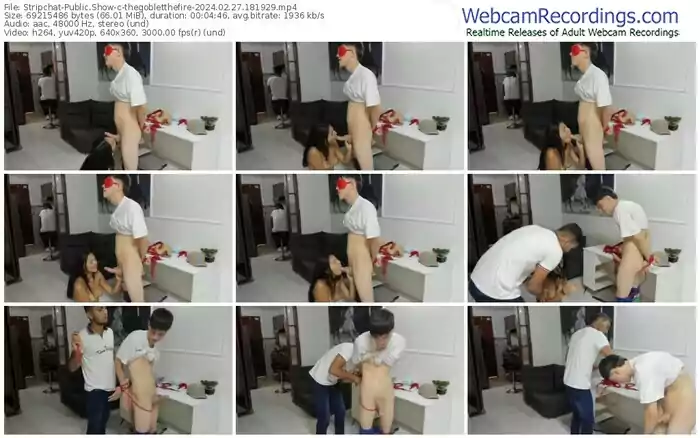 stripchat-thegobletthefire-02-27-2024-18-19-29