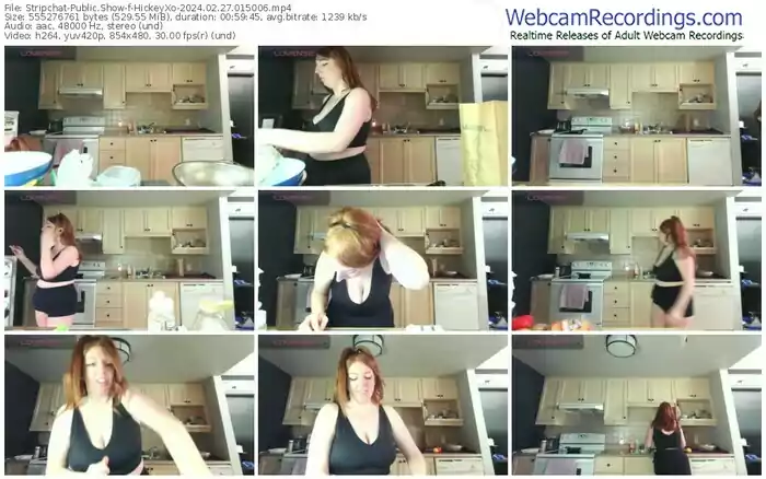 stripchat-hickeyxo-02-27-2024-01-50-06