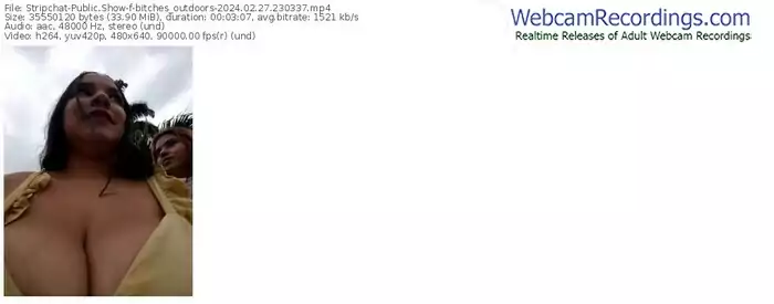 stripchat-bitches_outdoors-02-27-2024-23-03-37