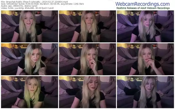 stripchat-cutecatty_-02-27-2024-22-49-04