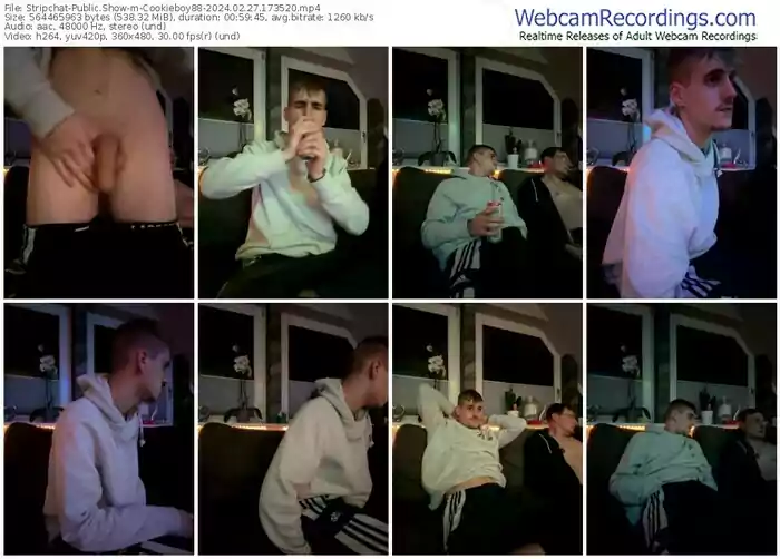 stripchat-cookieboy88-02-27-2024-17-35-20