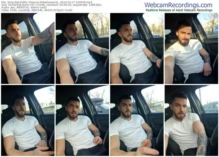 stripchat-mikediamond_-02-27-2024-14-45-38