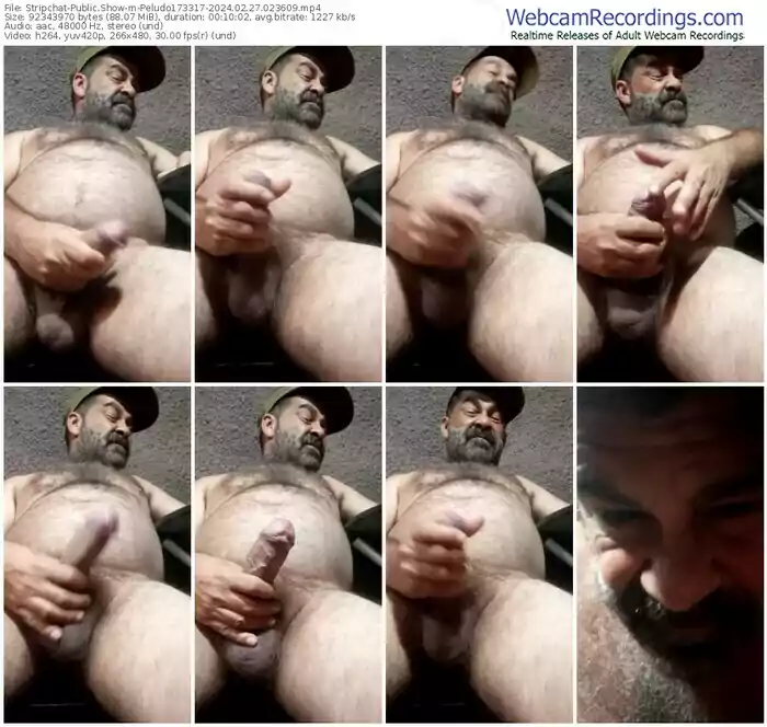 stripchat-peludo173317-02-27-2024-02-36-09