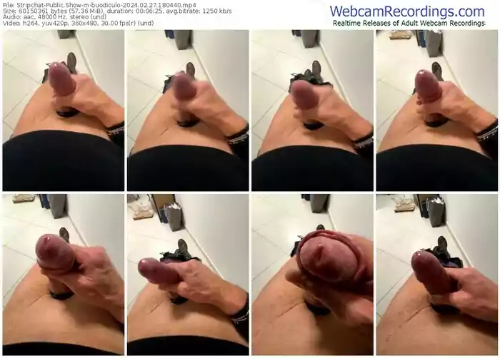 stripchat-buodiculo-02-27-2024-18-04-40