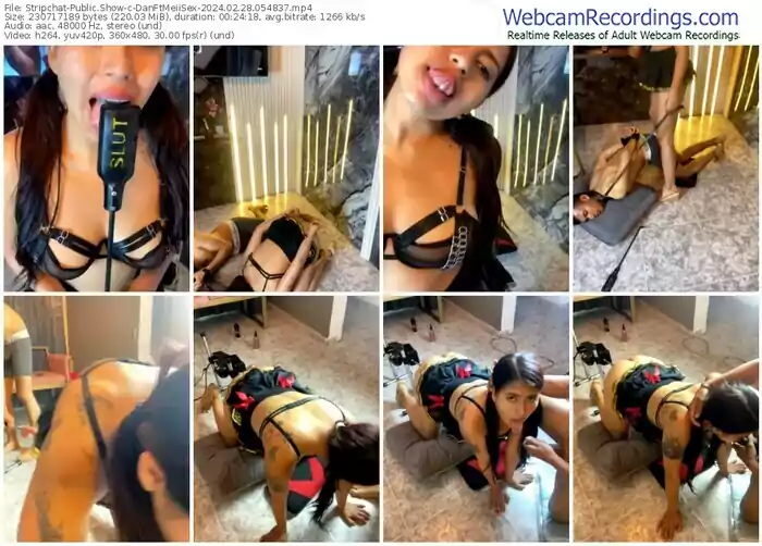 stripchat-danftmeiisex-02-28-2024-05-48-37