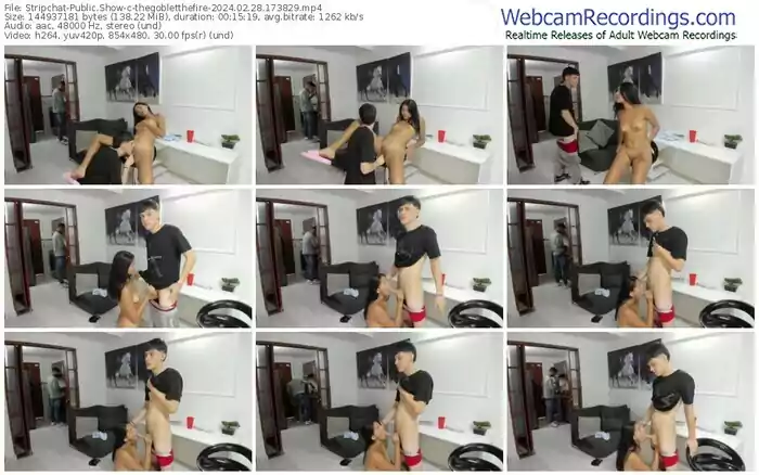 stripchat-thegobletthefire-02-28-2024-17-38-29