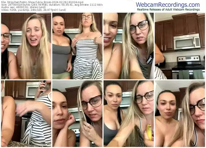 stripchat-aria_brook-02-28-2024-18-10-24