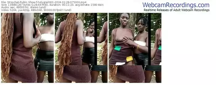 stripchat-holygrail001-02-28-2024-07-53-00