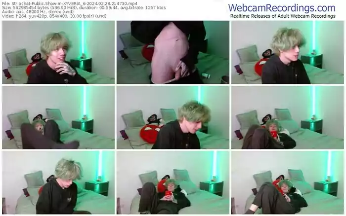 stripchat-xyveria_6-02-28-2024-21-47-30