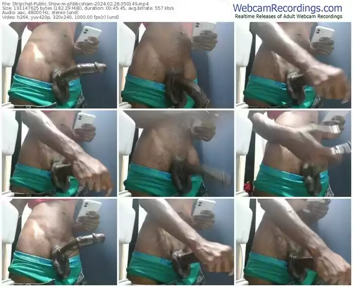 stripchat-phbbcsham-02-28-2024-05-01-49