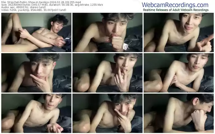 stripchat-twinkjo-02-28-2024-20-13-55