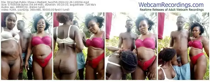 stripchat-rediant_two256-02-29-2024-14-32-04