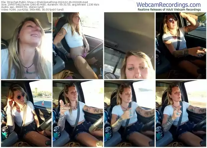 stripchat-sheissomething-02-29-2024-00-24-28