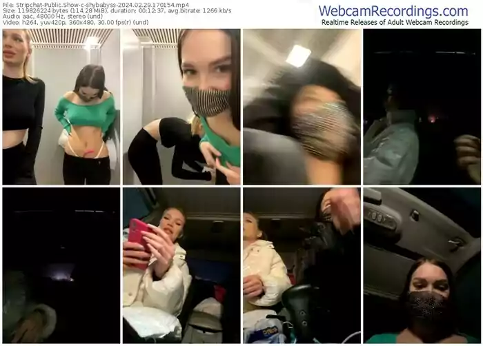 stripchat-shybabyss-02-29-2024-17-01-54