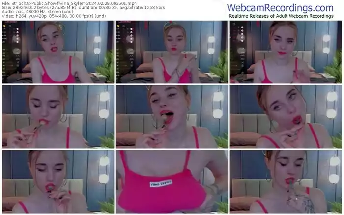 stripchat-vina_skylerr-02-29-2024-00-55-01