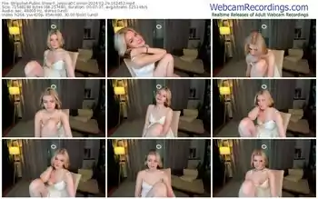 stripchat-_jessicaoconnor-02-29-2024-16-24-52