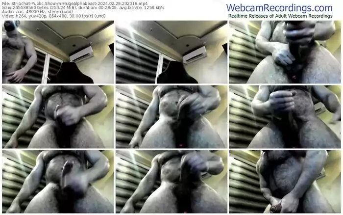 stripchat-hugealphabeast-02-29-2024-23-23-16