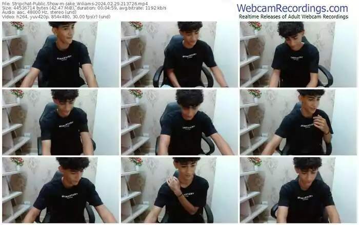 stripchat-jake_wiliams-02-29-2024-21-37-26