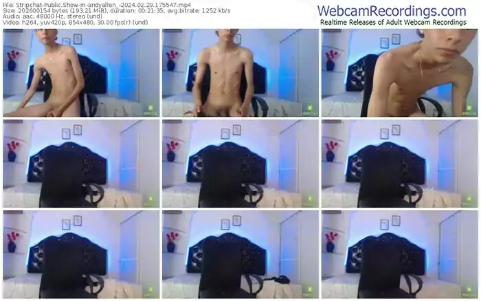stripchat-andyallen_-02-29-2024-17-55-47