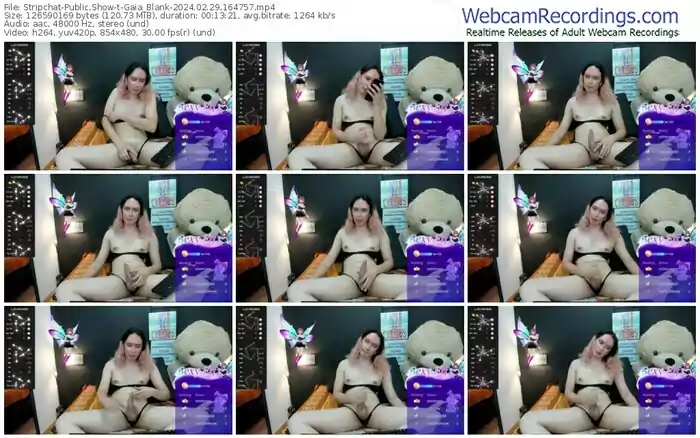 stripchat-gaia_blank-02-29-2024-16-47-57