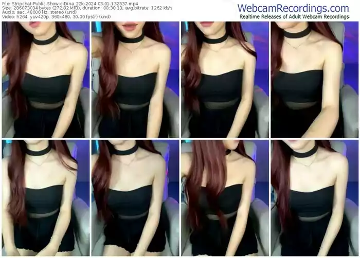 stripchat-dina_22k-03-01-2024-13-23-37
