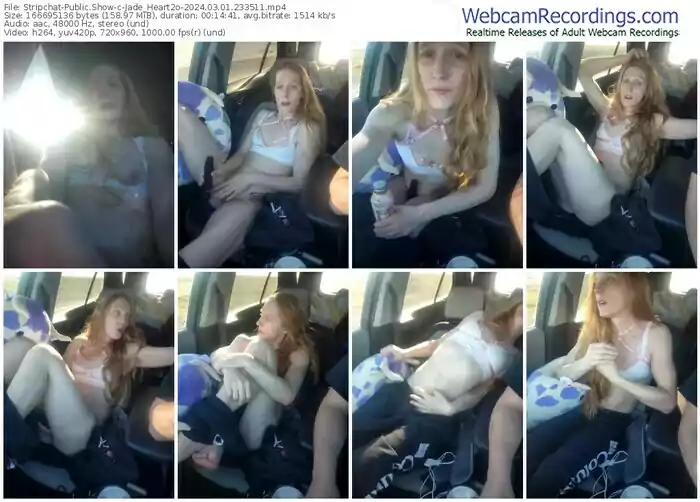 stripchat-jade_heart2o-03-01-2024-23-35-11