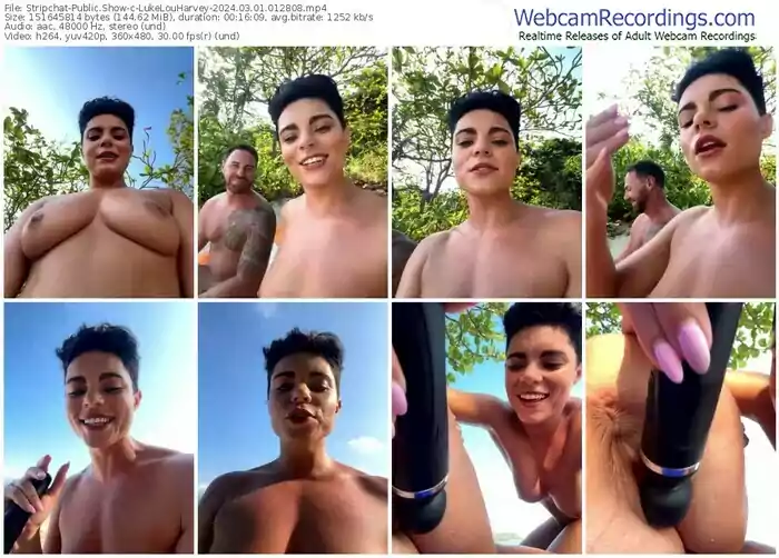stripchat-lukelouharvey-03-01-2024-01-28-08