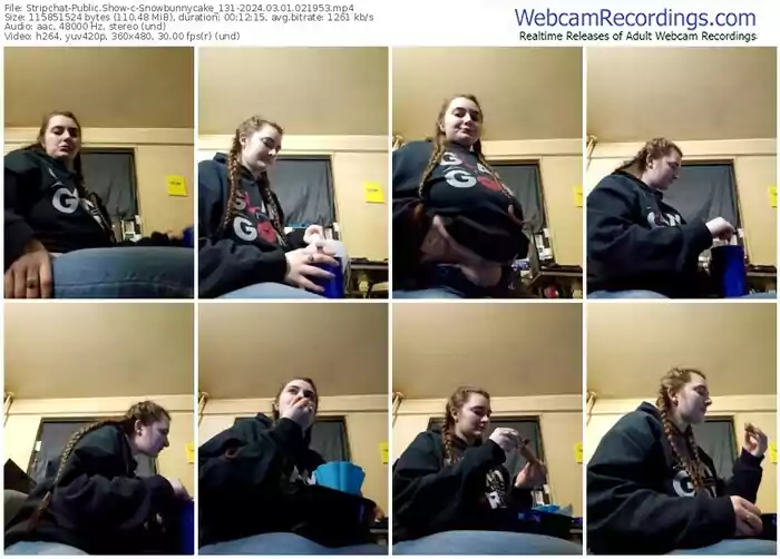 stripchat-snowbunnycake_131-03-01-2024-02-19-53