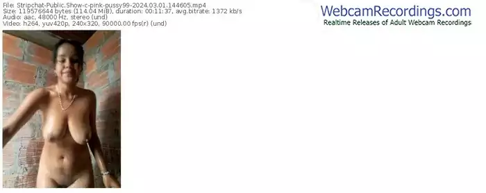 stripchat-pink-pussy99-03-01-2024-14-46-05