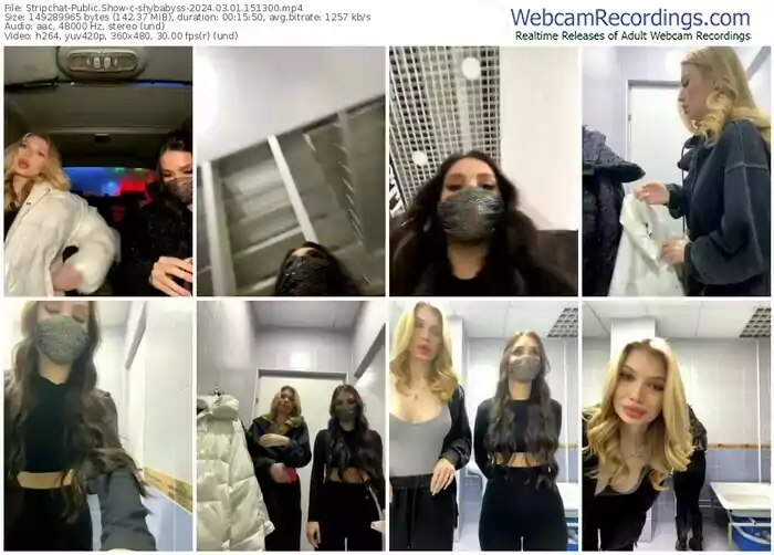stripchat-shybabyss-03-01-2024-15-13-00