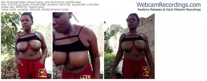 stripchat-nancy_0ne-03-01-2024-14-00-48